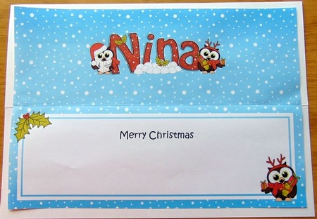 Large Dl Xmas Nina Little Hoot Owls Insert by Joyce Watson