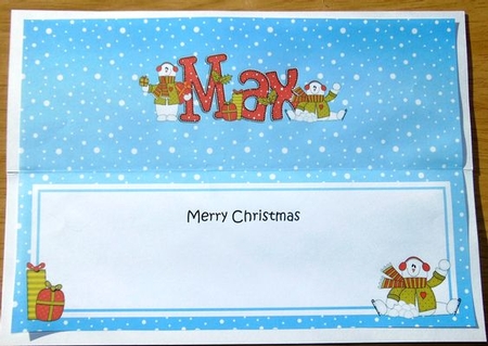 Large Dl Xmas Max Snowman Insert by Joyce Watson