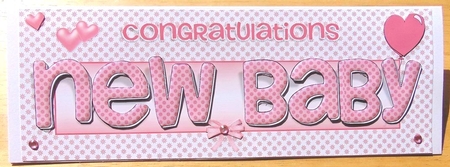 New Baby Girl by Joyce Watson