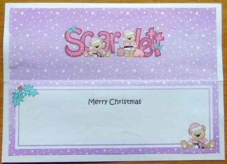 Large Dl Christmas Scarlett Livvy Bear Insert by Joyce Watson