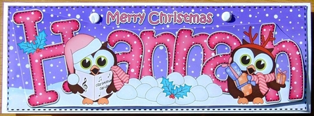 Large Dl Christmas Hannah Hoot Owls 3D Decoupage by Joyce Watson