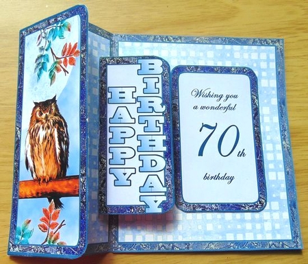 Fbp Owl 70th Birthday by Joyce Watson