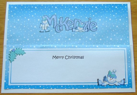 Large Dl Christmas Mckenzie Snowman Insert by Joyce Watson