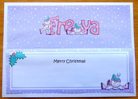 Large Dl Christmas Freya Snowman Insert by Joyce Watson