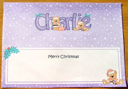 Large Dl Christmas Charlie Livvy Bear Insert by Joyce Watson