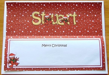 Large Dl Christmas Stuart Robins Insert by Joyce Watson