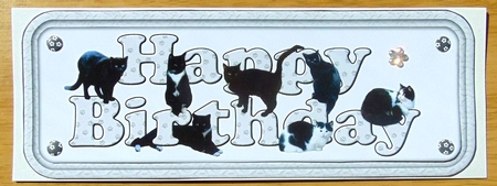 Black Cat Happy Birthday Grey Sign by Joyce Watson