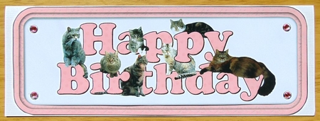 Tabby Cat Happy Birthday Pink Sign by Joyce Watson