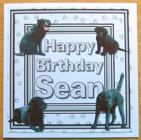 Sean Birrthday and Black labradors 3D Decoupage by Joyce Watson