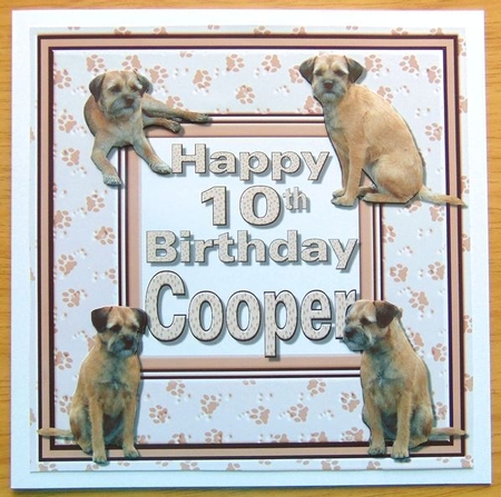 Cooper 10th Birthday and Border Terriers 3D Decoupage by Joyce Watson