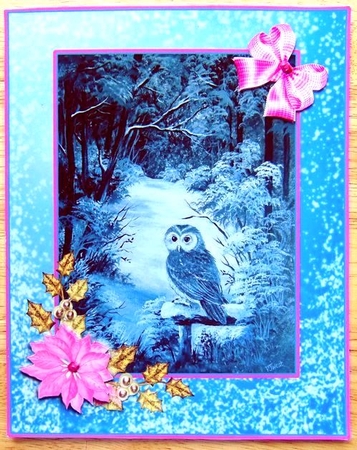 Owl Christmas card topper with White poinsettia by Joyce Watson