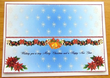 Large DL Poinsettia - INSERT by Joyce Watson