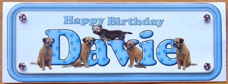 Happy Birthday Davie Border Terrier name Sign by Joyce Watson