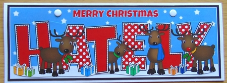 Rudolf and friends HATELY large dl by Joyce Watson