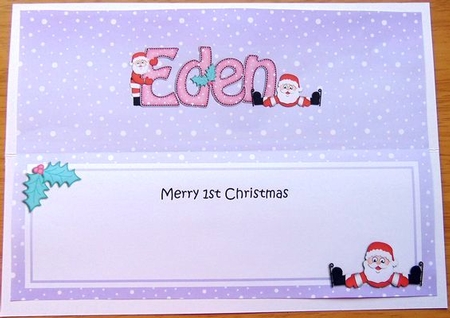 Large DL Merry 1st Christmas EDEN insert by Joyce Watson