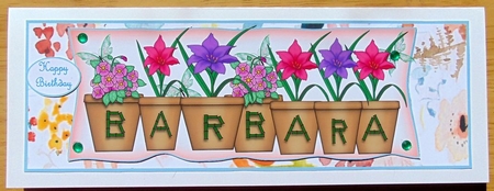 large dl pot plant names BARBARA by Joyce Watson