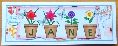 large dl pot plant names JANE by Joyce Watson