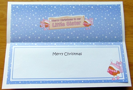 large DL Merry Christmas to my LITTLE SISTER with Robins insert by Joyce Watson
