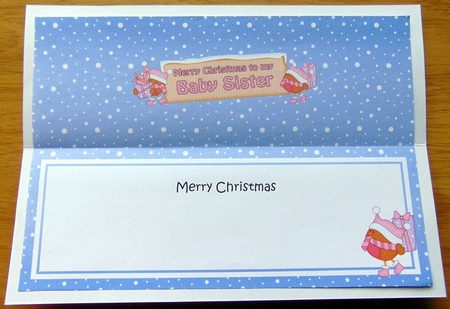 large DL Merry Christmas to my BABY SISTER with Robins insert by Joyce Watson