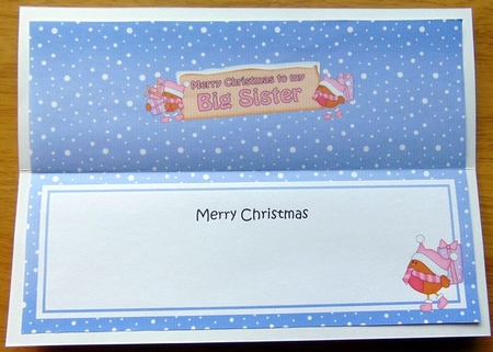 large DL Merry Christmas to my BIG SISTER with Robins insert by Joyce Watson
