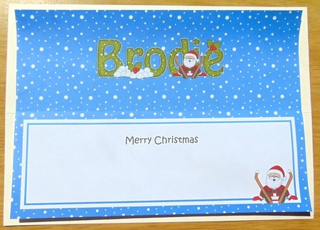 Large DL Merry Christmas BRODIE insert by Joyce Watson