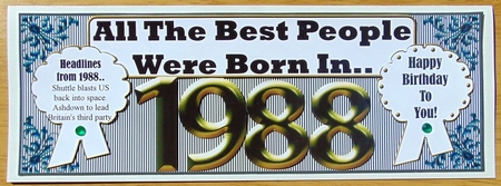 BORN IN 1988 by Joyce Watson