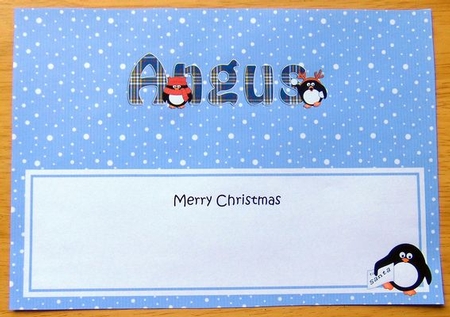Large DL Merry Christmas ANGUS insert by Joyce Watson