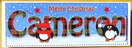 Large DL Merry Christmas CAMERON 3D decoupage  by Joyce Watson