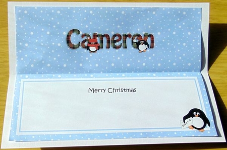 Large DL Merry Christmas CAMERON insert by Joyce Watson
