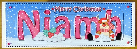 Large DL Merry Christmas NIAMH 3D decoupage  by Joyce Watson