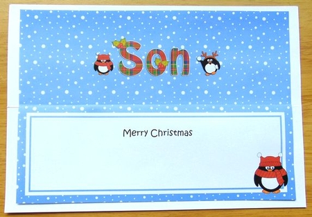 Large DL Merry Christmas SON insert by Joyce Watson