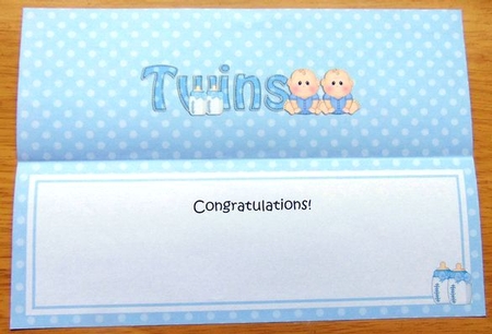 Large DL CONGRATULATIONS ... ON YOUR BEAUTIFUL TWINS insert by Joyce Watson