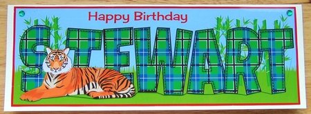 Tiger STEWART large dl by Joyce Watson