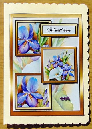 3 squares Irises & lily GWS by Joyce Watson