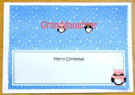 Large DL Merry Christmas GRANDDAUGHTER insert with Penguins by Joyce Watson