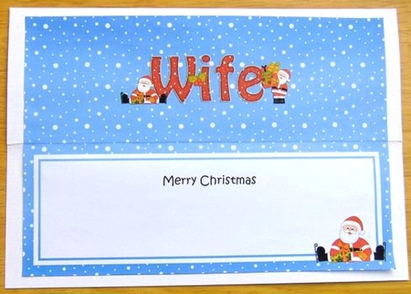 Large DL Merry Christmas WIFE with Santa insert by Joyce Watson