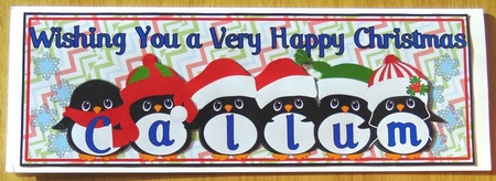 PENGUIN HATS NAMES - CALLUM by Joyce Watson