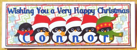 PENGUIN HATS NAMES - CONNOR by Joyce Watson
