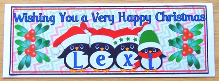 PENGUIN HATS NAMES - LEXI by Joyce Watson