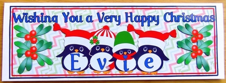 PENGUIN HATS NAMES - EVIE by Joyce Watson
