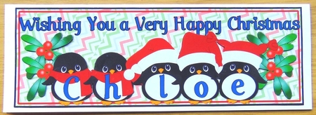 PENGUIN HATS NAMES - CHLOE by Joyce Watson