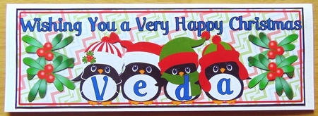 PENGUIN HATS NAMES - VEDA by Joyce Watson