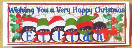 PENGUIN HATS NAMES - EILIDH by Joyce Watson