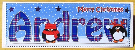 Large DL Merry Christmas ANDREW 3D decoupage  by Joyce Watson