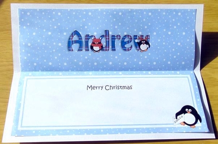 Large DL Merry Christmas ANDREW insert by Joyce Watson