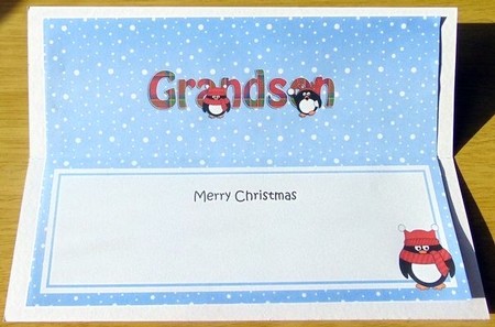 Large DL Merry Christmas GRANDSON insert with Tartan Penguins by Joyce Watson