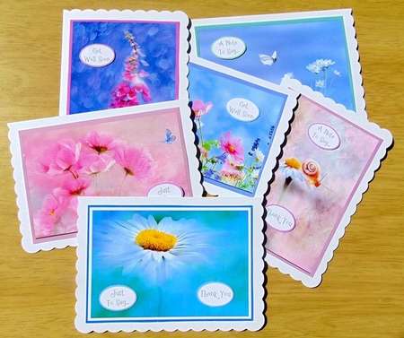 C6 NOTELET SET by Joyce Watson