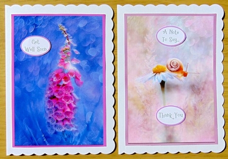 C6 NOTELET SET by Joyce Watson
