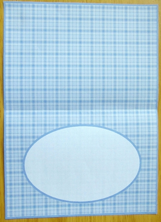 Blue And Grey Check Insert by Joyce Watson