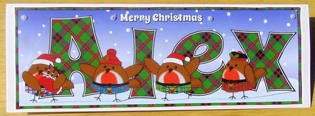 Scottish Christmas Robins ALEX large dl by Joyce Watson